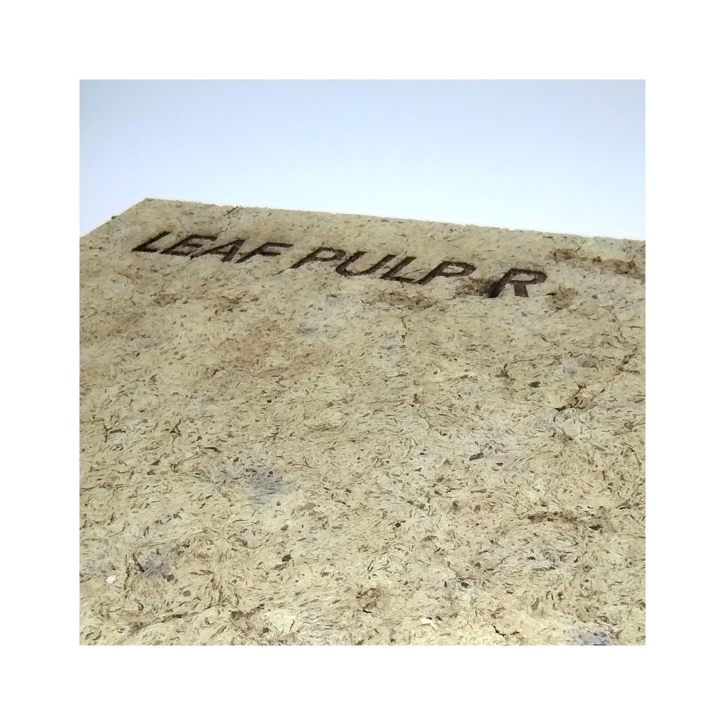 LEAF PULP